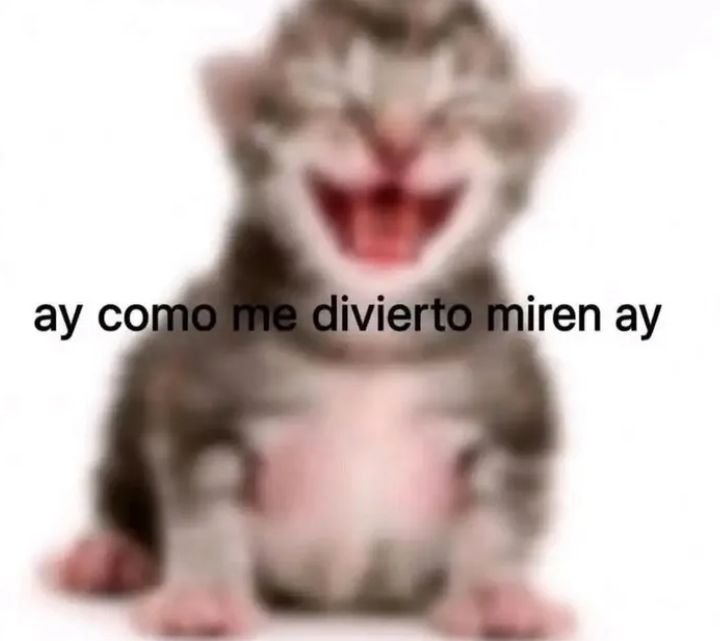 mmnitstt's tweet photo. Yo en Instagram  /  yo en tuiter https://t.co/w4ZMABoem6