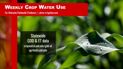 UNL_CropWatch's tweet photo. Peak water demand continues for many Nebraska #crops. Keep #irrigation on target with this week's estimated crop water use from @UNLExtension: https://t.co/1aiCNMm3W8
#NebExt #NebraskaAg #AgTwitter #CropProduction #Farming #Ag #Evapotranspiration https://t.co/b0uEKQ7I3f