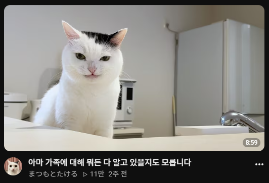 mmm2m2m22222's tweet photo. 요즘 빠진 일본 고양이 채널.......
집사분이 썸넬을 일단 너무 잘뽑고 고양이가 쥰니 기여움 ㅜㅜㅋ 이 썸네일 어케 지나침;; https://t.co/13VibSuV23