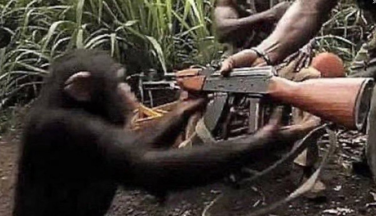 AmaterasuAMV_'s tweet photo. Mon pote m'a demandé des conseils pour sa relation, je me suis fait quitté y'a 4jours https://t.co/4dyz08jGLo