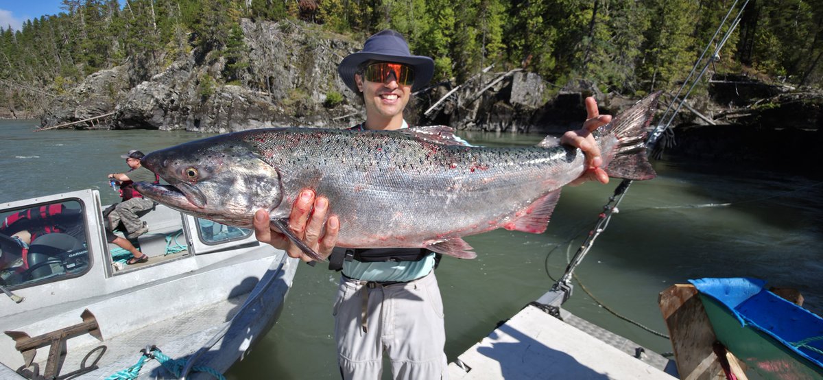 erikindiny's tweet photo. Skeena Chinook

#springsalmom #Chinook #skeenariver #indigenousfisheries #fishwheel #Kitsumkalum https://t.co/rzC3vXpJTP