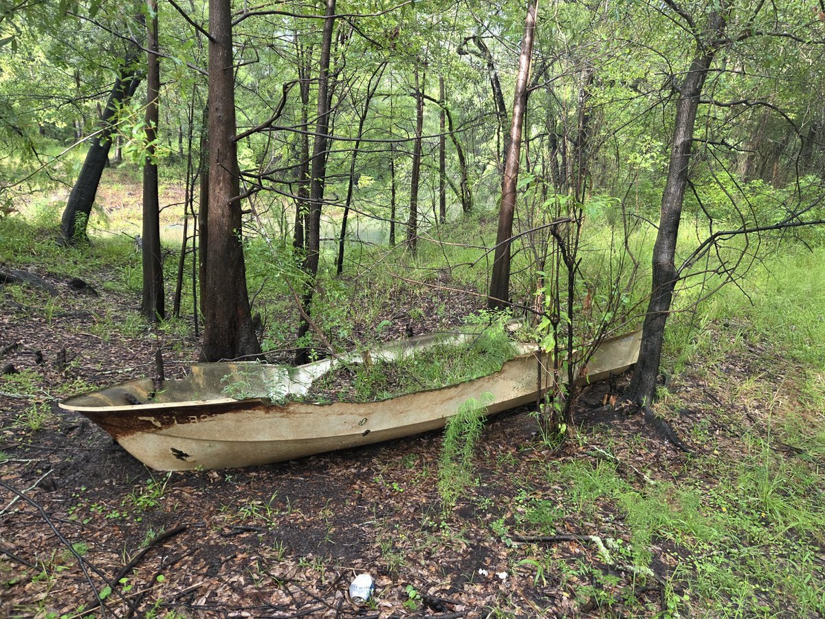 BredWoolfe's tweet photo. Made it out to the River Prop.  Withlacoochee River. https://t.co/NVsBSW6vf1
