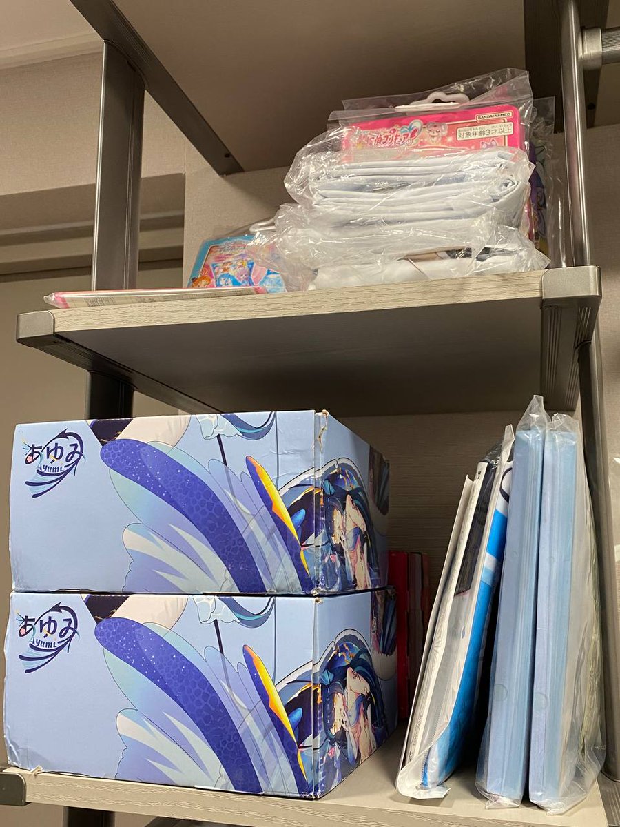 Anime_Swim_Ring's tweet photo. New storage https://t.co/rohRclHQYL