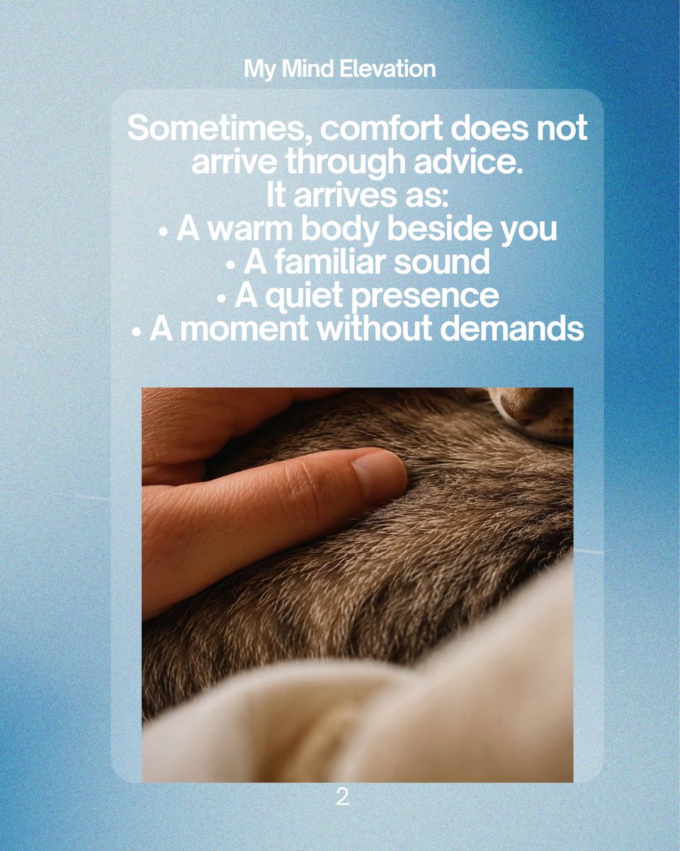 mymindelevation's tweet photo. Your pet may offer more than companionship. A quiet presence, touch, routine, and non-judgmental connection can help us feel safer and more regulated without replacing professional care when needed. 🐾

Read “The Silent Therapist”: https://t.co/AjWiHSwQTE https://t.co/kJE1RMUQAx