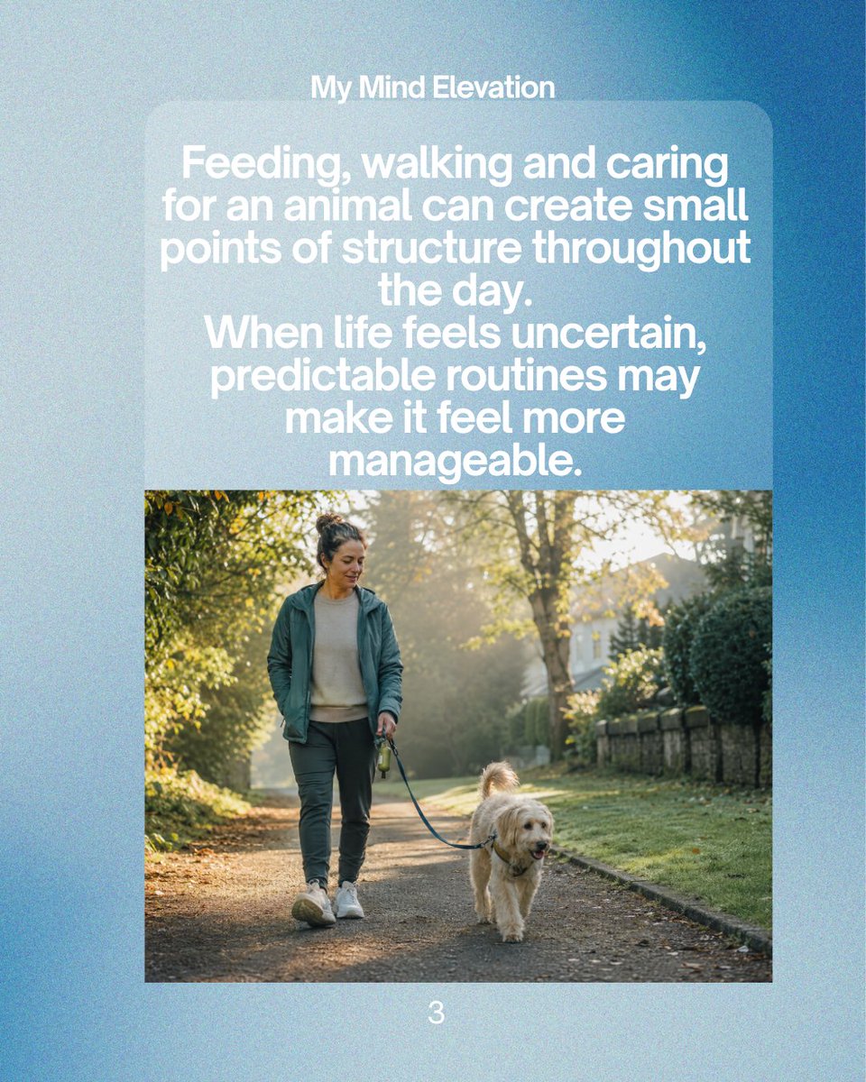 mymindelevation's tweet photo. Your pet may offer more than companionship. A quiet presence, touch, routine, and non-judgmental connection can help us feel safer and more regulated without replacing professional care when needed. 🐾

Read “The Silent Therapist”: https://t.co/AjWiHSwQTE https://t.co/kJE1RMUQAx