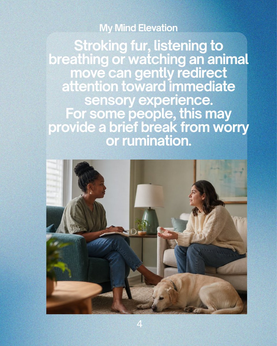 mymindelevation's tweet photo. Your pet may offer more than companionship. A quiet presence, touch, routine, and non-judgmental connection can help us feel safer and more regulated without replacing professional care when needed. 🐾

Read “The Silent Therapist”: https://t.co/AjWiHSwQTE https://t.co/kJE1RMUQAx