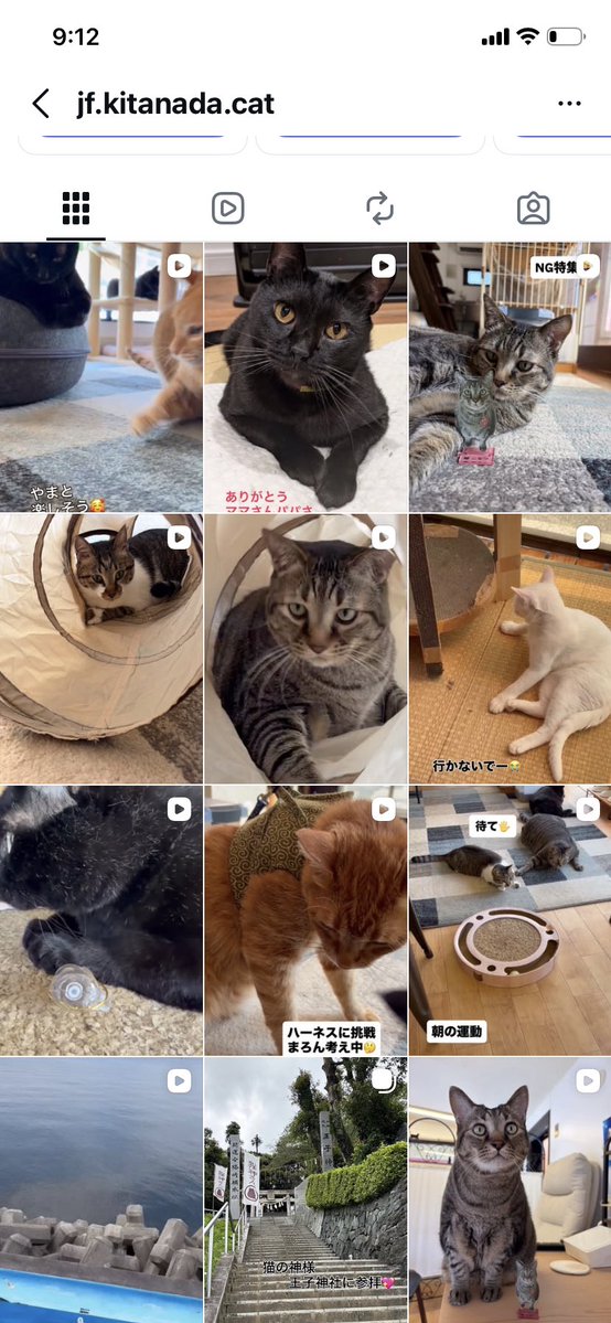 creacream's tweet photo. @doubutuhukushi 連投すいません！徳島県のきたなだ海の駅です。初代駅長🐱氏は亡くなっていますが今の駅猫たちは保護されて快適なおうちでくらしています。
インスタもあります！ https://t.co/fRsqx5uw9P