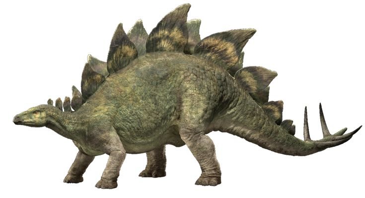 BuddAsth's tweet photo. @HANSSENHELL Un Stegosaurus. https://t.co/Lkyu4MrTV6