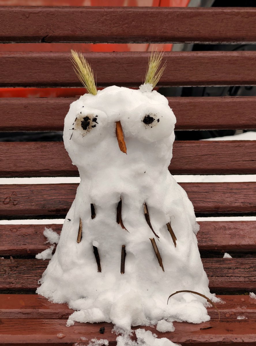 Hintowls's tweet photo. Feliz día del búho! 🦉

Hice uno con nieve aprovechando que estamos en invierno. ❄️ https://t.co/ldv9DkApOB