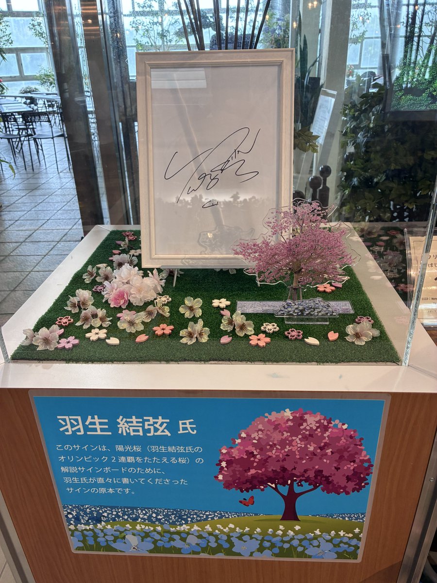 4月以来の七北田公園🌸 ゆづ桜🌸のアクスタにサインがありました