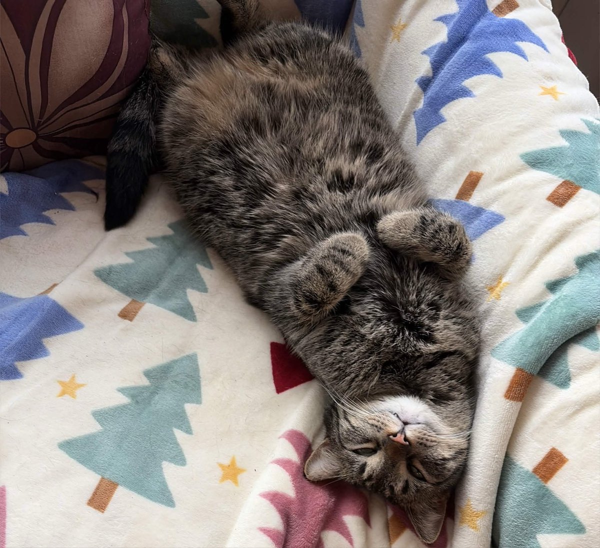 avengedameon's tweet photo. My mom just texted me a photo of my daughter, what is she doing. https://t.co/g2UrVsXNMy