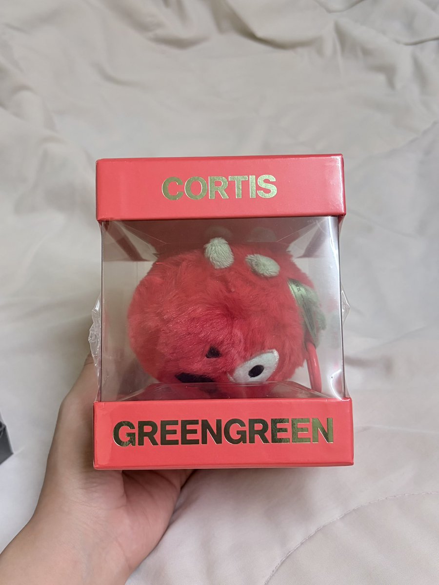 Tracy_Fong_'s tweet photo. [🇲🇾 WTS] Cortis Ball 🔴⚫️

RM140/each
Sealed 

🙆🏻‍♀️ Can Meetup in KL area
📦Postage RM8 WM RM12 EM

#pasarcortis #pasarcortismy https://t.co/QfIHPG6567