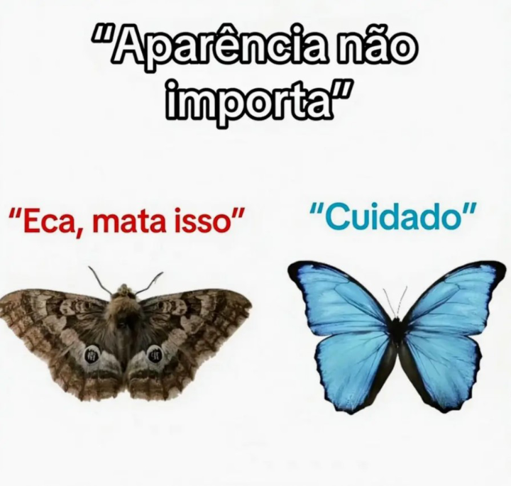 senshi_real's tweet photo. crítica social https://t.co/HwindxTIBk