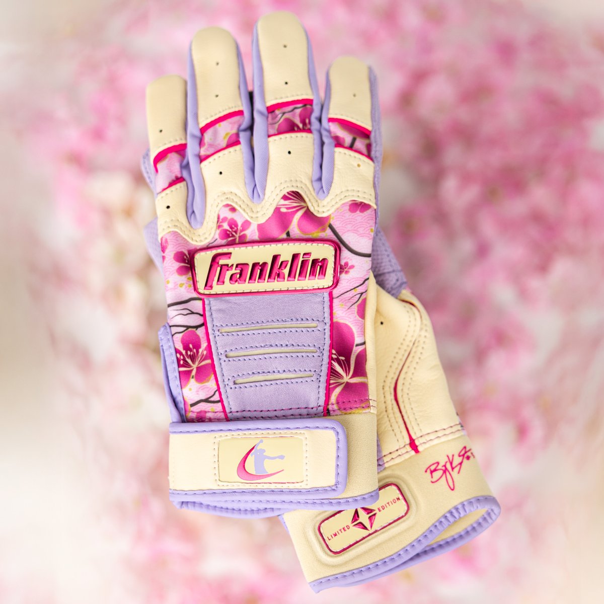 planetfastpitch's tweet photo. 🌸We are giving away 3 pairs of Franklin Sports Baylee Klingler Limited Edition Batting Gloves to 3 winners! Like this post, follow @planetfastpitch , @bayleekling , and @FranklinSports , and comment IN to enter!

Entries close Thursday 8/6 at 11:59pm ET. Winners drawn Friday 8/7 https://t.co/UL7Q8pfdFR