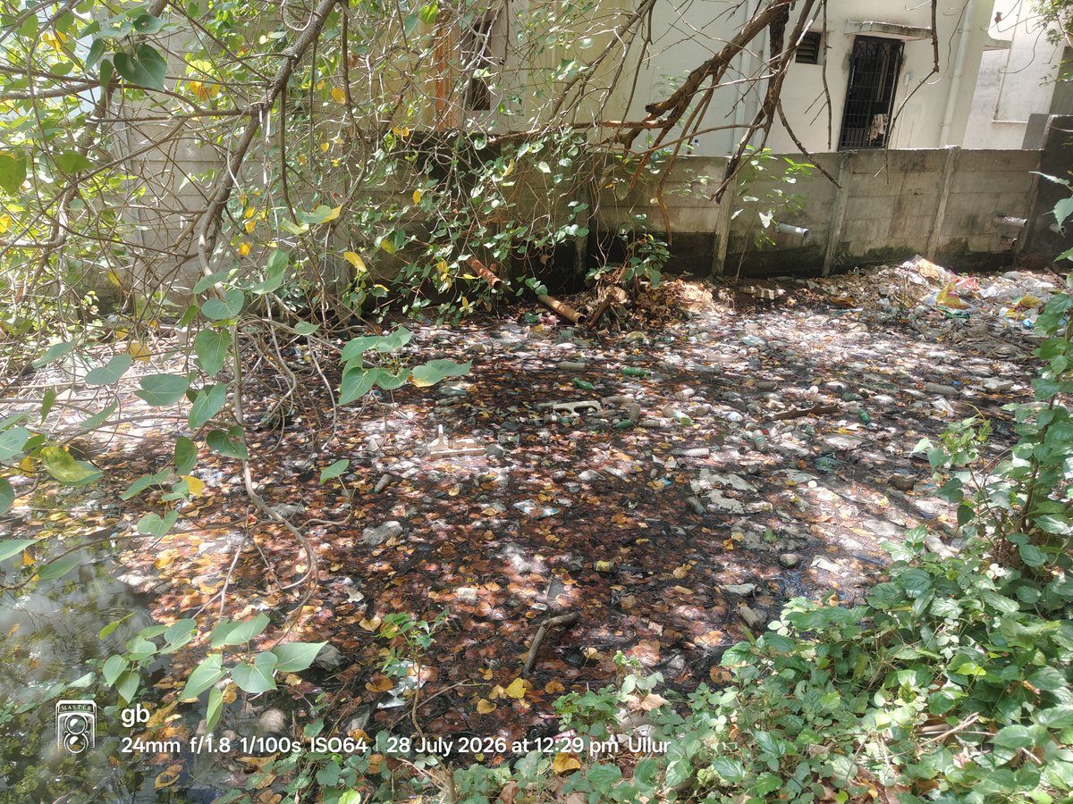 gb71007's tweet photo. Thepperumanallur Canal, a branch canal of the sacred River Cauvery,is now polluted with plastic bottles, carry bags &amp; domestic sewage,vital water body deserves immediate protection, restoration &amp; encroachments by the competent authorities @PMOIndia @CMJosephVijay @lokbhavan_tn https://t.co/k8Rb9AYT9J