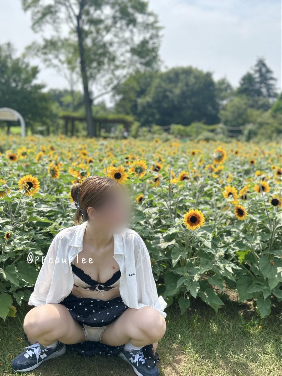 ppcouplee's tweet photo. 今年はこれでラスト🌻
めちゃくちゃ綺麗だったから来年も行きたいな〜 https://t.co/qAbGqCHSlx