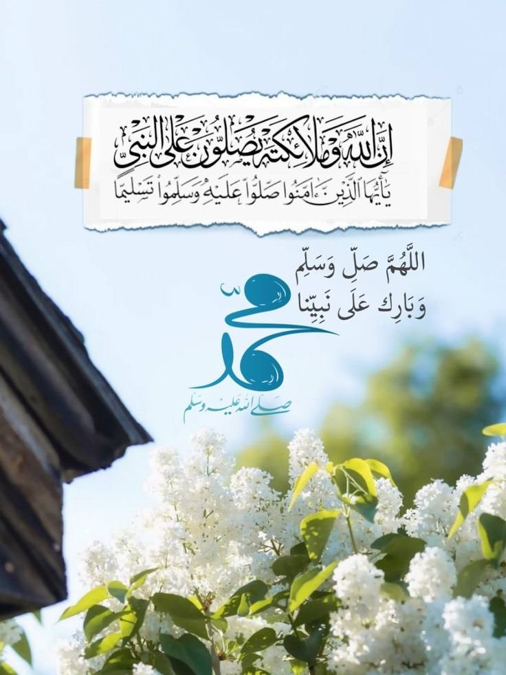 NASAAZ999's tweet photo. 🌙✨━━━━━━━ ✦ السَّلاَمُ عَلَیْكُمْ✦ 

🌅 صبح النور!🌷

━━━━━━━ ༻ فرمانِ رسول اللّہ ﷺ🤍

 "اللّٰہ تعالیٰ کے نزدیک سب سے زیادہ پسندیدہ عمل وہ ہے جو ہمیشہ کیا جائے، اگرچہ تھوڑا ہی ہو۔"

📖 حوالہ: صحیح البخاری، حدیث: 6464؛ صحیح مسلم، حدیث: 783 https://t.co/4gbFctqYwO