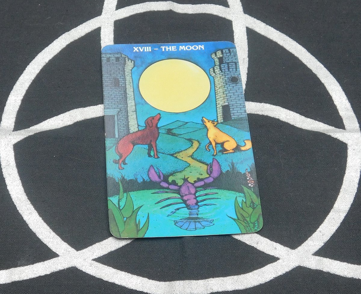 revheydi's tweet photo. The Moon.. La Luna .
Rev Heydi tarot . https://t.co/DN4SpKpHVY