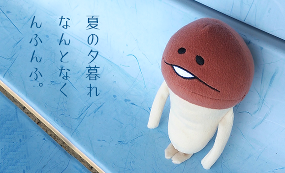 nameko_nnf's tweet photo. んふんふ（海が見たいなぁ） https://t.co/pt56Tp2jra