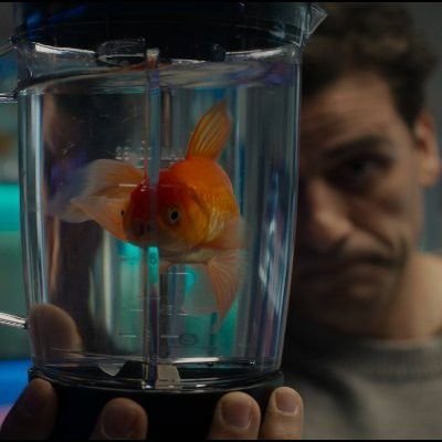 AvatarofKonshu's tweet photo. Le enseña su pececito al lector, lo guardó en una licuadora. 

" Mira, esté pez antes era dorado ." https://t.co/cf2Twcaayi