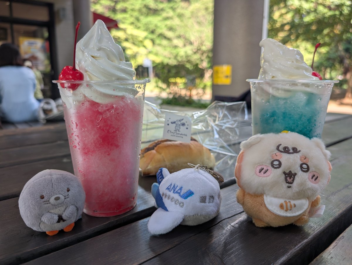 spadewind's tweet photo. 代々木公園ではかき氷ソフトやあんバターサンド食べてのんびりしたり、お散歩したり。 https://t.co/BzyaimlNLj
