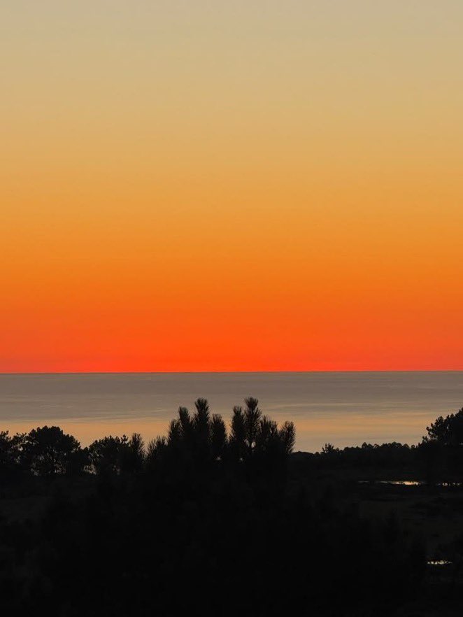 _Naturaee's tweet photo. When the sky paints a picture https://t.co/qmeN4SrFNr