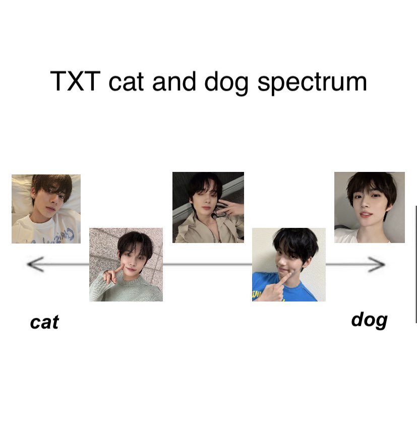 yunbeomz's tweet photo. any other answers are wrong btw https://t.co/ZUjxfItBXe