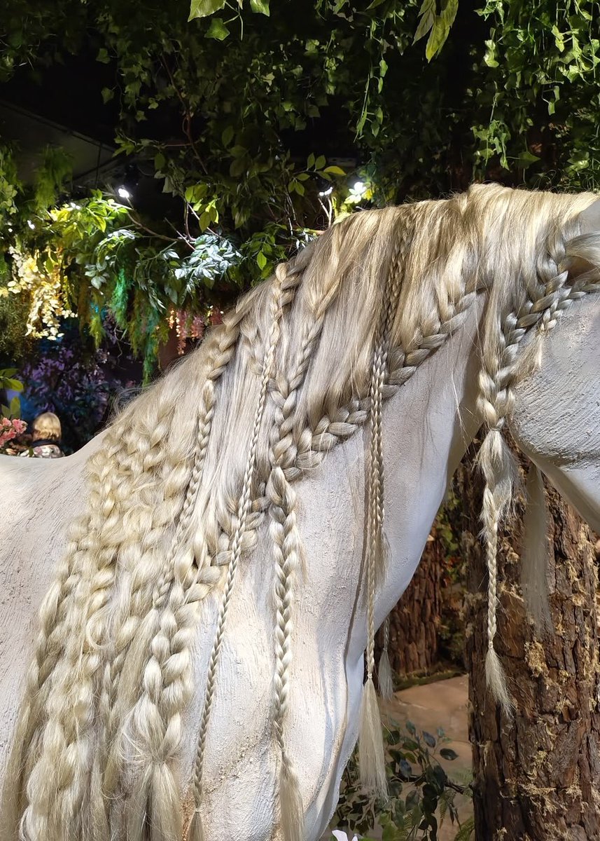 prtygal777's tweet photo. Horse Hair https://t.co/XWsor7psLG
