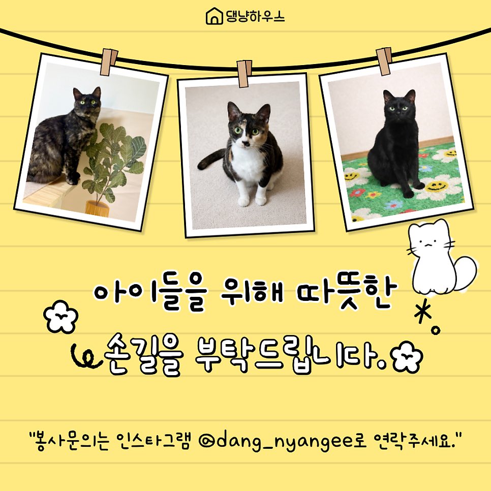 dang_nyangee's tweet photo. 중증 환묘와 호스피스 중인 아이들이 많아 봉사자님 손길이 간절합니다🙏🏻

💌봉사/임시보호/입양문의는 채팅주세요

❣️하트와 알티는 큰 힘이 됩니다 https://t.co/WhrInx3kld
