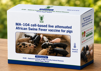 icarindia's tweet photo. #ICAR develops India's first indigenous MA-104 cell-based Live Attenuated #ASF Vaccine—protecting pig farmers, reducing losses &amp; boosting livestock health. #

EN: https://t.co/VDvz54Ej8G
HI: https://t.co/YLI374HZuG
 #AfricanSwineFever @ChouhanShivraj @PIB_India  @Dept_of_AHD https://t.co/LXwm55Vzn2