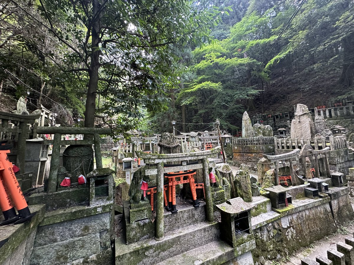 NumanpoGL's tweet photo. このクソ暑いのに伏見稲荷なんか登るもんじゃあないぜ( ˙-˙ )
ぶっ倒れるかと思ったぜ( ˙-˙ ) https://t.co/QCVwgeJkVY