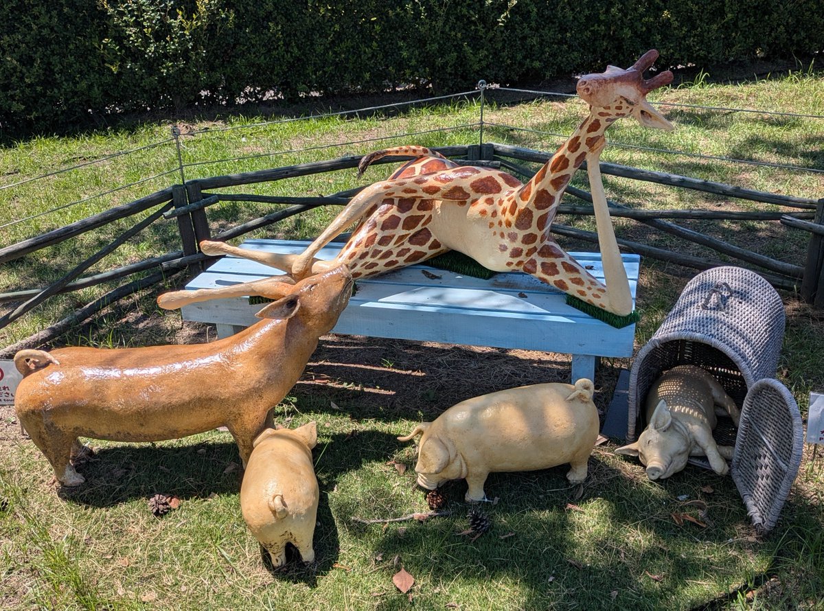 63FoTa's tweet photo. 一歩一景・栗林公園♪ https://t.co/MXsqkLHtGU