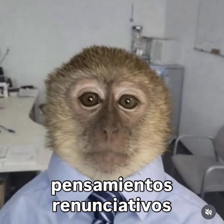 ValDeppHudson's tweet photo. Jsjsjsjs
Denme chamba https://t.co/OGwQ4wHIXa