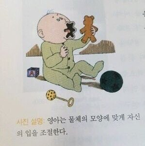 __meeae's tweet photo. 먹을 때 입2배속이란 말이 개웃기다
물체 모양에 입 모양을 조절하는 것처럼
음식에 맞춰 입 모양 조정 후 배속 흡입 https://t.co/E7bY3pcJmM