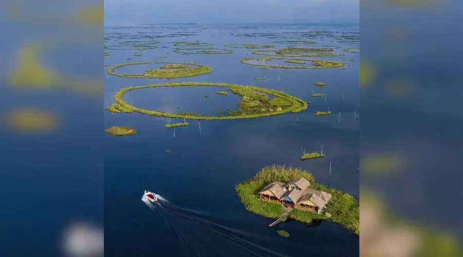 ReporterRimli's tweet photo. A major arms recovery from #LoktakLake has once again drawn attention to the strategic use of the lake's floating #Phumdis as concealed hideouts for weapons and militant activities in Manipur. Security agencies believe the dense, floating biomass has long provided cover for the storage and movement of illegal arms, complicating counter-insurgency operations.

The recovery also highlights how the proliferation of illegal weapons has fuelled the prolonged violence in Manipur. Sophisticated arms have intensified clashes, increased casualties and hampered efforts to restore normalcy. Recovering hidden weapons caches and dismantling supply networks remain critical to curbing violence and strengthening peace and stability in the state.

Read more: https://t.co/sS3F8fc5Y2

#Manipur #LoktakLake #Phumdis #IllegalArms #CounterInsurgency #Peace #NortheastIndia