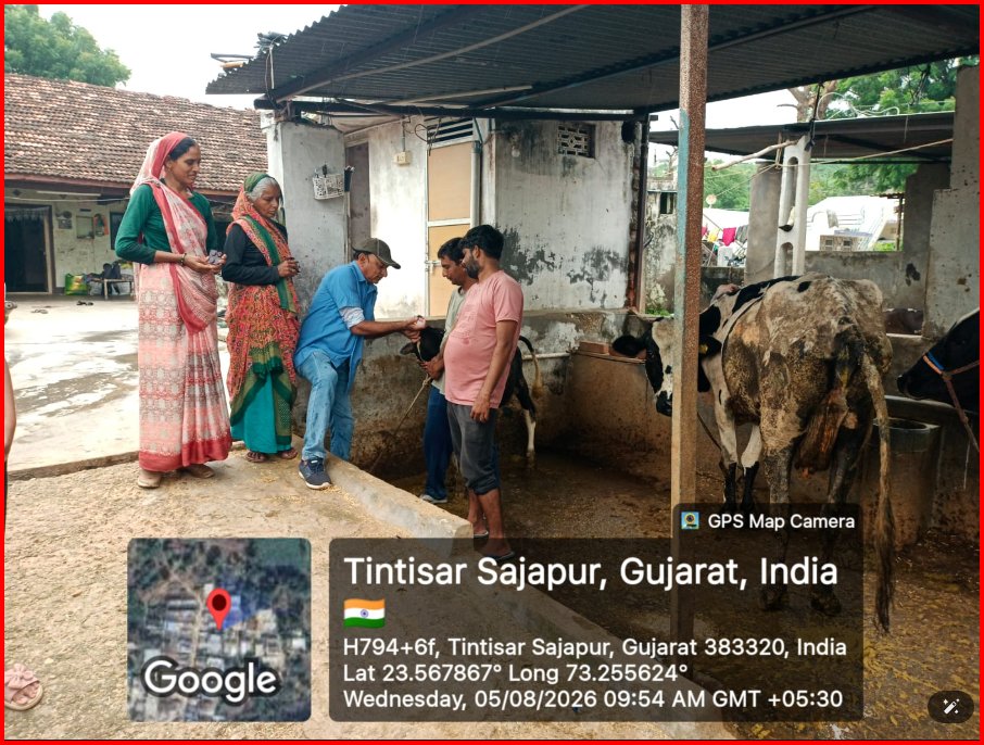 vdmodasa's tweet photo. DEWORMING CAMPAIGN  IN  LARGE ANIMAL (COW &amp; BUFFALO )BY MODASA  ANIMAL HUSBUNDRY DEPARTMENT. https://t.co/0qzR5Jm3y1