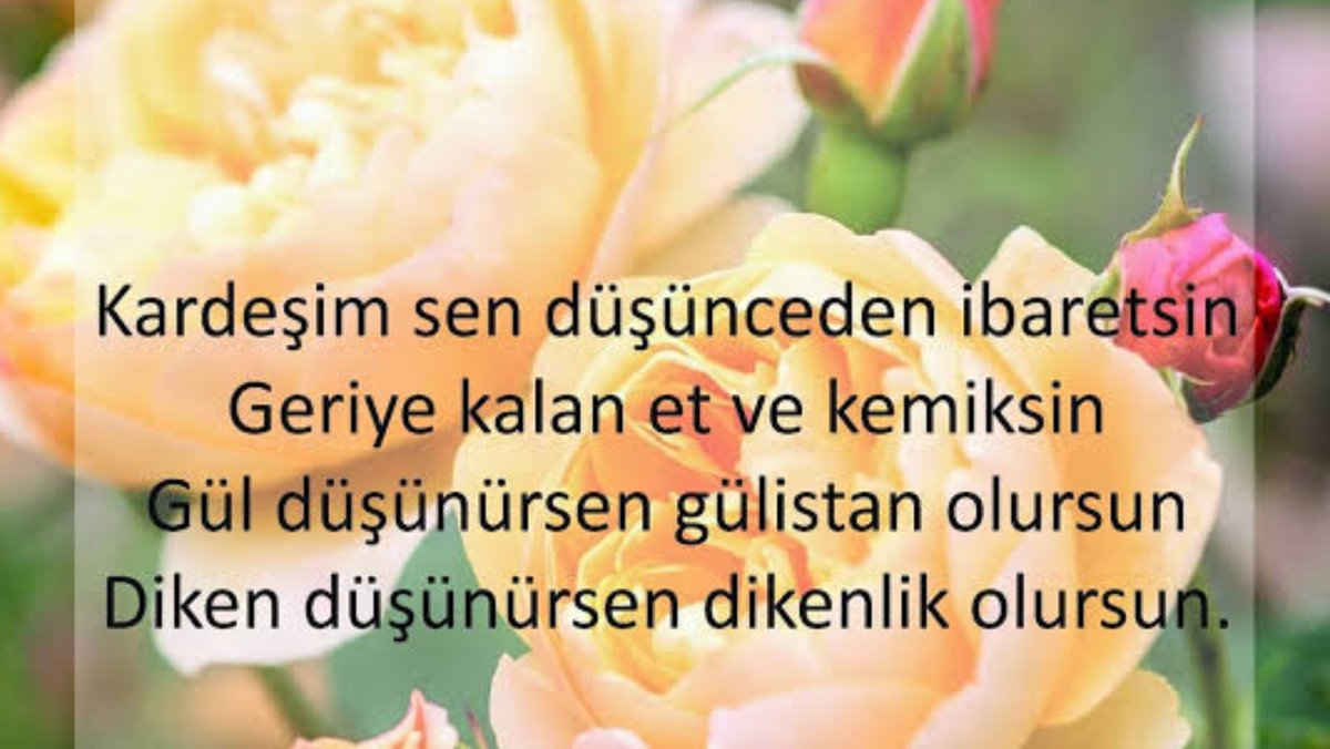Atilla3agu's tweet photo. Düşünce https://t.co/7XeXFgbuiX