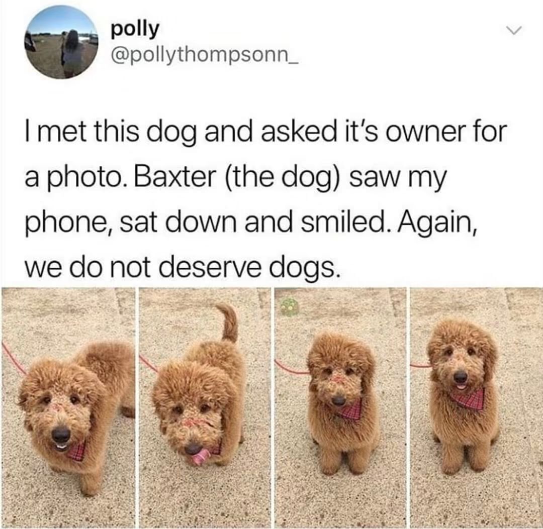WholesomeMeme's tweet photo. https://t.co/hf3PqrYaZ3