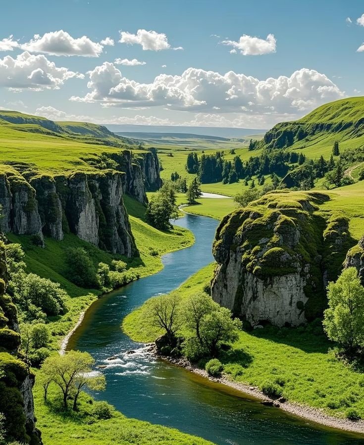 Naturei1ae's tweet photo. Fjaðrárgljúfur Canyon, Iceland 🇮🇸 https://t.co/0e0SjJ3dhd