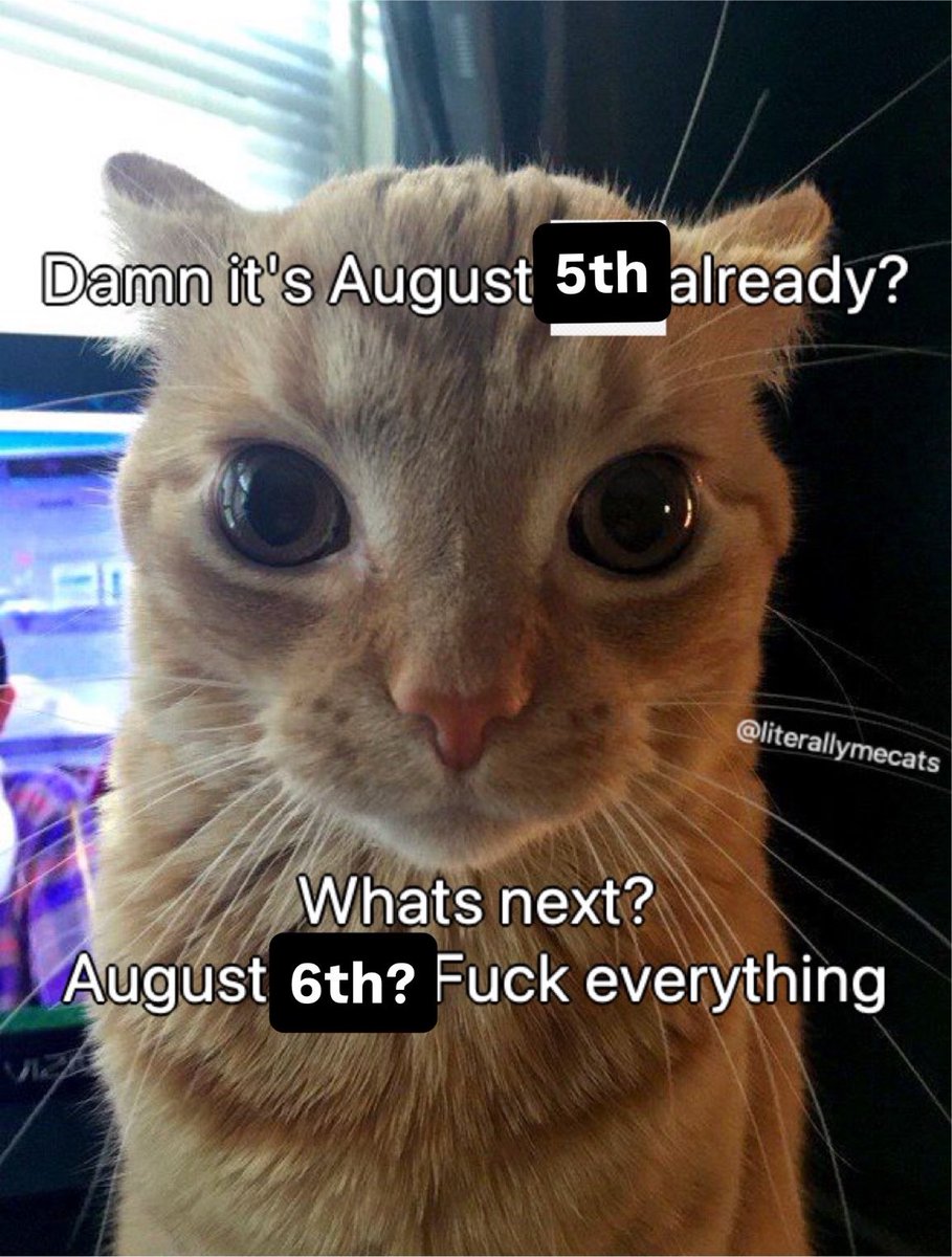 literallymecats's tweet photo. https://t.co/QxmbeOpMSv