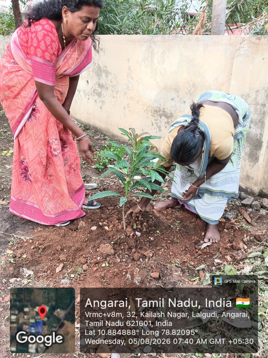 LalgudiCommr's tweet photo. இன்று இலால்குடி நகராட்சி கைலாஷ் நகர் மேல்நிலை நீர்த்தேக்க தொட்டி வளாகத்தில் சுகாதார ஆய்வாளர் தலைமையில் மரக்கன்றுகள் நடப்பட்டது.@CHN_Metro_Water @MawsTamilNadu @MoHUA_India @SwachhBharatGov @tnclimatechange @RdmaThanjavur @Collector_Try https://t.co/0aRqKm3mTY