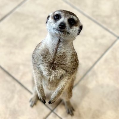 Riris_life_'s tweet photo. #新しいプロフィール画像 https://t.co/D7fYdVsKqV