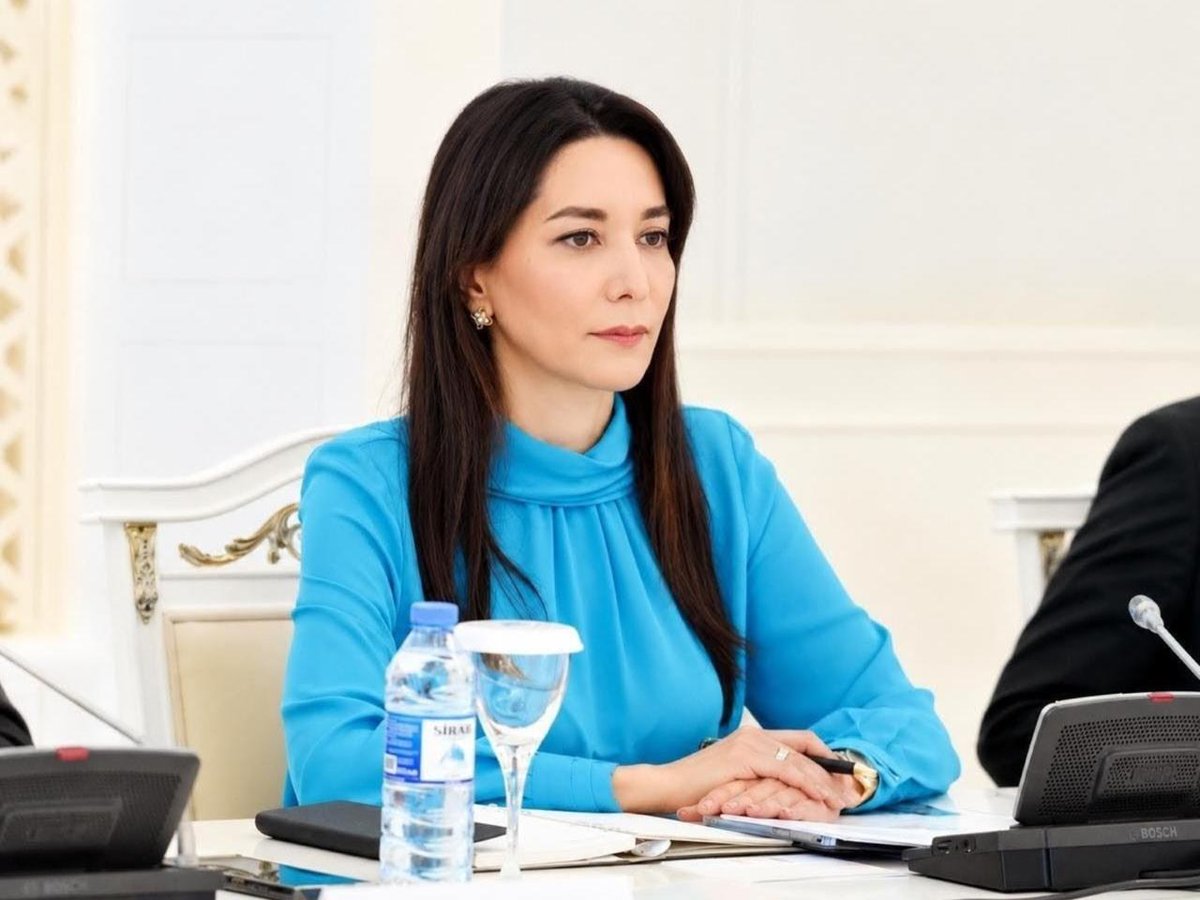 ombudsman_az's tweet photo. The #Ombudsman Sabina Aliyeva, issued a statement calling on the international community to strengthen their support for the humanitarian demining operations of #Azerbaijan.

For more: https://t.co/Nur4TC8WWM https://t.co/oddaxDM926