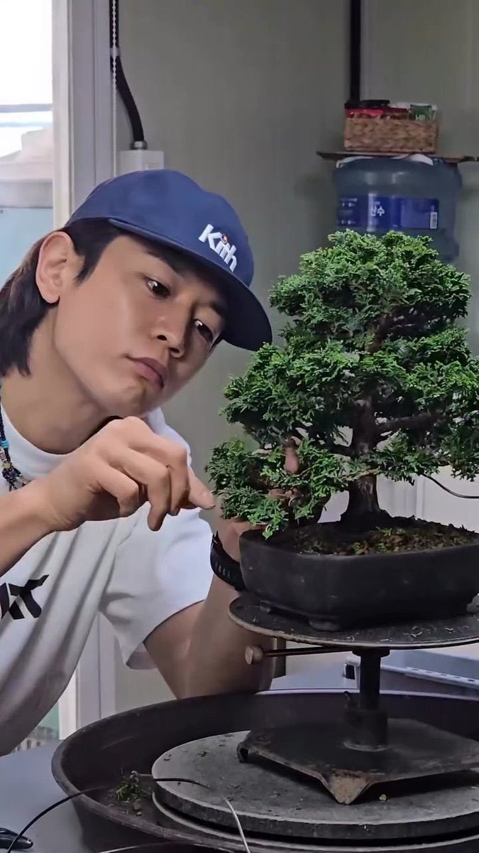 freakeychoice's tweet photo. plant dads minkey save me plant dads minkey https://t.co/4vvdOCW2zS