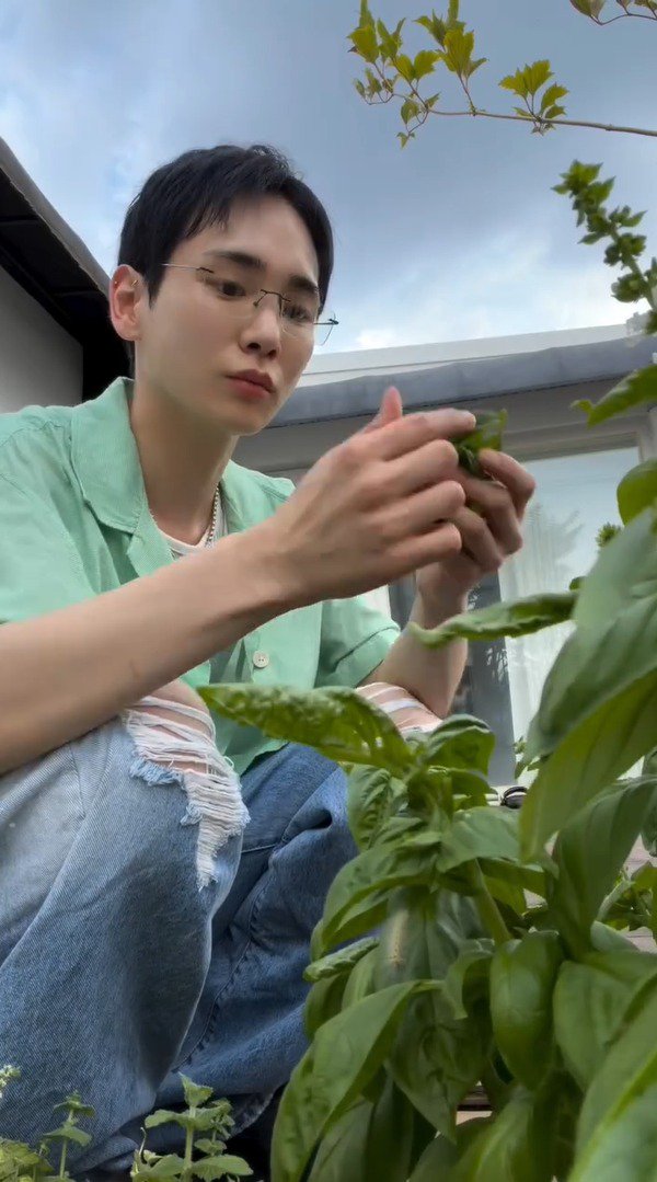 freakeychoice's tweet photo. plant dads minkey save me plant dads minkey https://t.co/4vvdOCW2zS