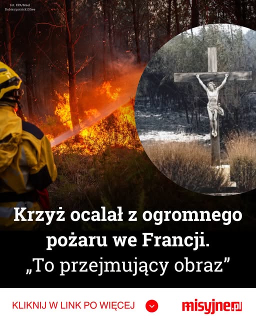 BlogerPisarz's tweet photo. Ogień strawił wszystko na swojej drodze, ale krzyż pozostał nienaruszony. Poruszające zdjęcie obiegło świat po wielkim pożarze w Girondzie https://t.co/B4fvrAAPD8