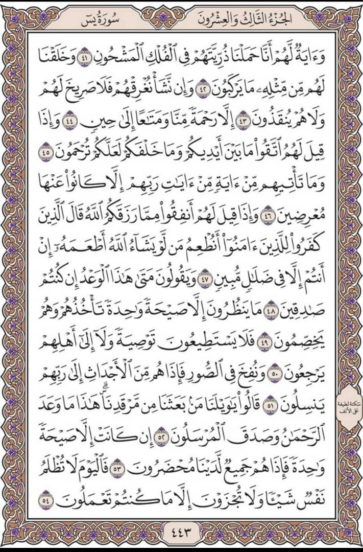 misbahu_jibril's tweet photo. Recite and repost one page here daily https://t.co/tmyEHQ9isX