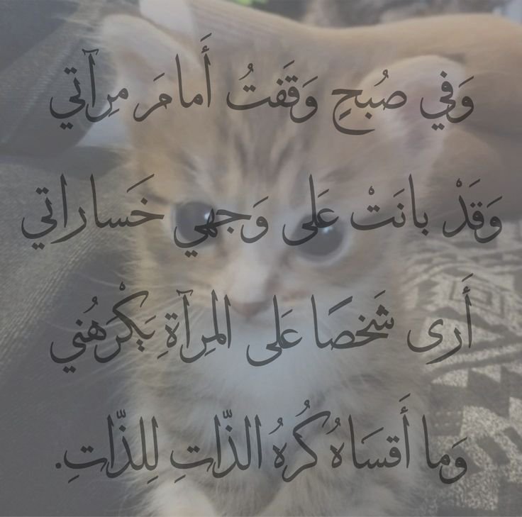 Mostafa2sscc's tweet photo. https://t.co/IbaMMmgVFx