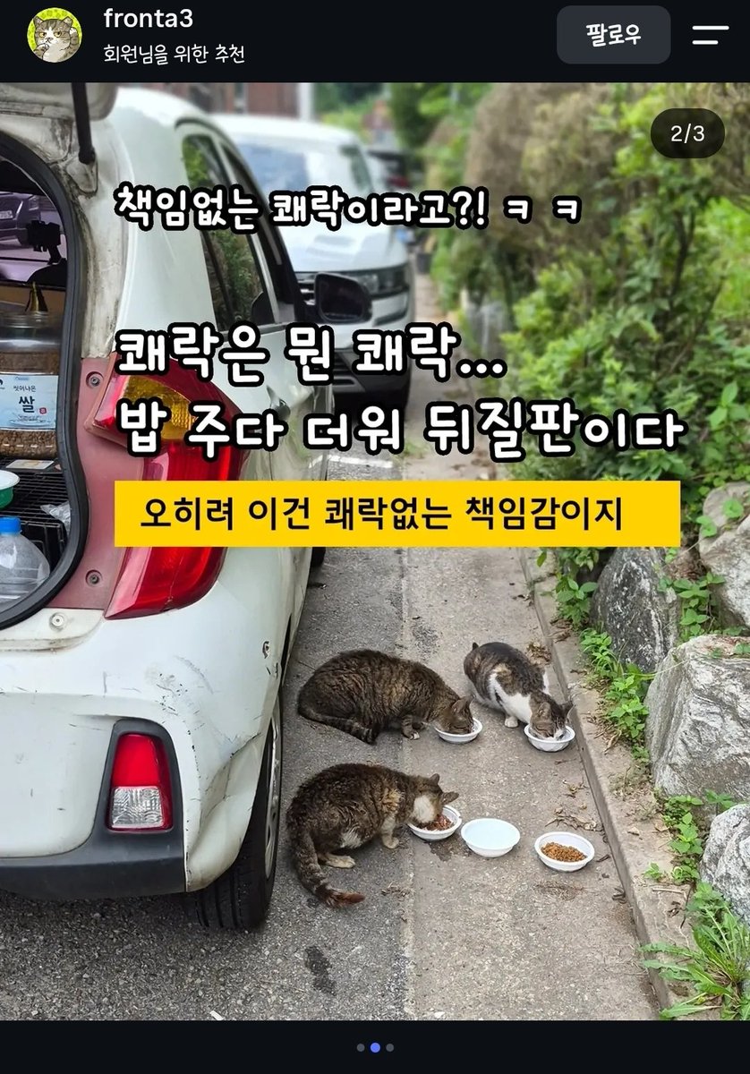Zzing_zzing_ii's tweet photo. 인스타그램을 보다가 너무 좋은 내용이라 후다닥 캡처했다.
길고양이에게 밥 주는 것을 '책임 없는 쾌락'이라고 말하는데, 이 더위에 고양이들을 챙기는 것을 보면 '쾌락 없는 책임감'인 듯하다.
책임감으로 길 위의 생명도 챙기는 것을 단순한 쾌락이라고 하는 것은 얄팍한 사고이지 않을까? https://t.co/ITjnF8KA3B
