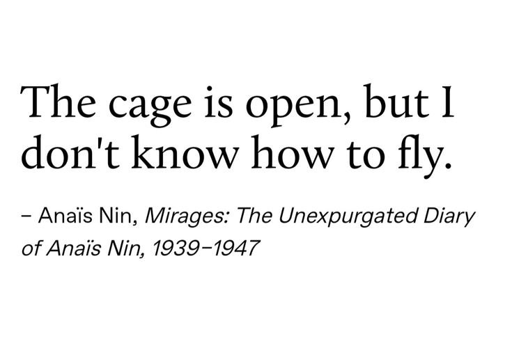 Literariium's tweet photo. — Anaïs Nin https://t.co/Y5GwHZOfyd